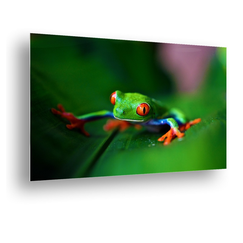 sublimation metal aluminum print for wall art